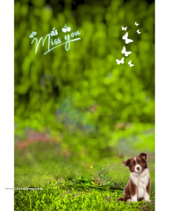 Miss you cb background free download