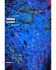 Miss you cb background images