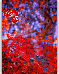 Miss you cb editing background,Hd cb editing background