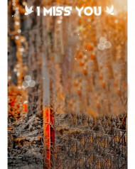 Miss You Photo Editing Background Broken For Cb Picsart Download Free