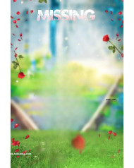 Missing HD CB Editing Background