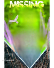 Missing photoshop cb editing background