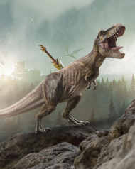 mj editx 10 04 2023 0009 copy