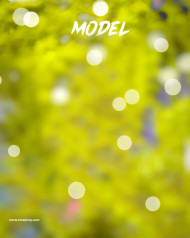 Model hd cb editing background