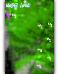 Model look cb editing background,Snapseed cb editing background