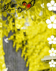 Momdad hd cb editing background