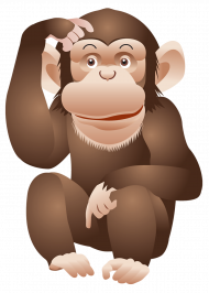 Monkey clipart png