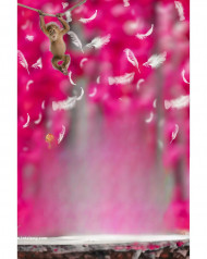 Monkey hd cb editing background