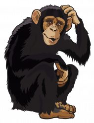 Monkey PNG Clipart Image