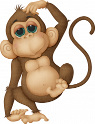 Monkey Transparent