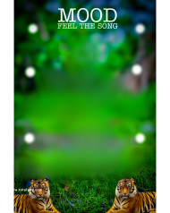 Mood 1500  CB Background HD 2023 For Photo Editing