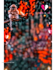 Mood off cb backgrounds free