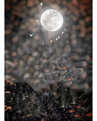 Moon light cb editing background