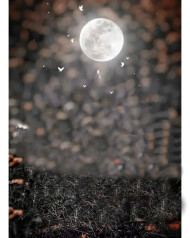 Moon new hd editing background