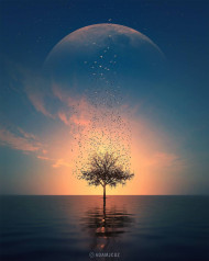 Moon  photoshop editing background (1)