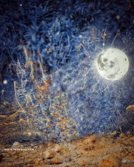Moon snapseed cb editing background