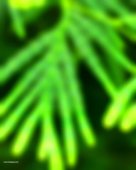 Mr faisu editing background