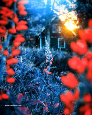 Munawar editz cb background