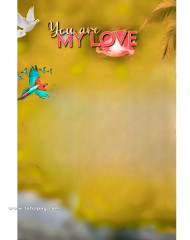 My love cb background