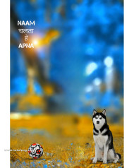 Naam vhalta hai snapseed cb editing background