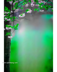 natural cb background