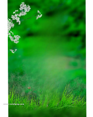 Natural cb background images