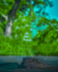 Natural cb editing background