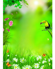 Natural cb editing background