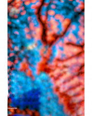 Natural cb editing background snapseed