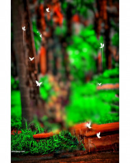 Natural cb photo editing background