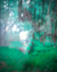 Natural Editing Background