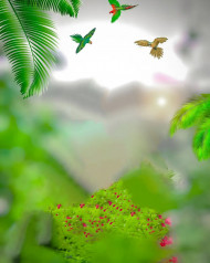 Natural Editing Background Cb Edit (2)