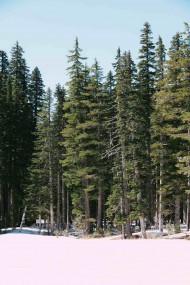 Natural Hd Background For Manipulation Editing