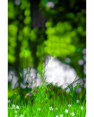 natural hd cb editing background