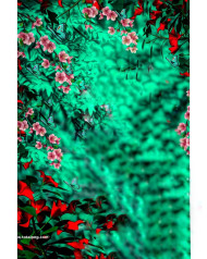 Natural hd cb editing background