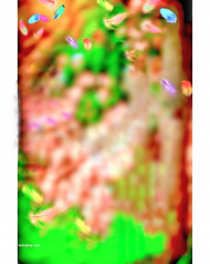 Natural hd cb editing background,Hd cb background