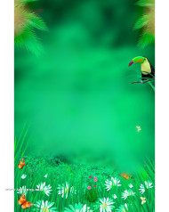 Nature cb background free download