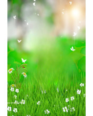 Nature cb background free download