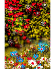 nature cb background images