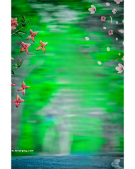 Nature cb background totalpng