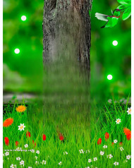 Nature cb editing background free download