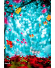 Nature cb editing background snapseed