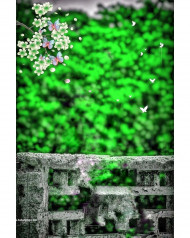 nature cb photo editing background