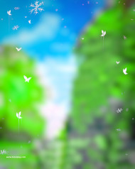 Nature cb photo editing background