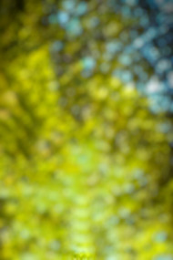 Nature CB Photo Editing Background For Picsart HD   1080x1619