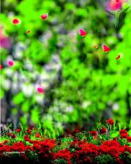 Nature hd cb editing background