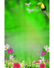 Nature love photoshop cb editing background