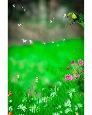 Nature lover cb editing background