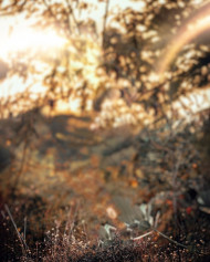 Nature NSB Picture Background Free Full HD   1080x1349 (1)