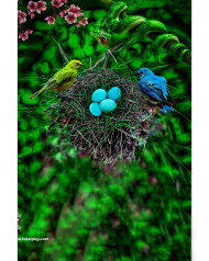 Nest cb background images